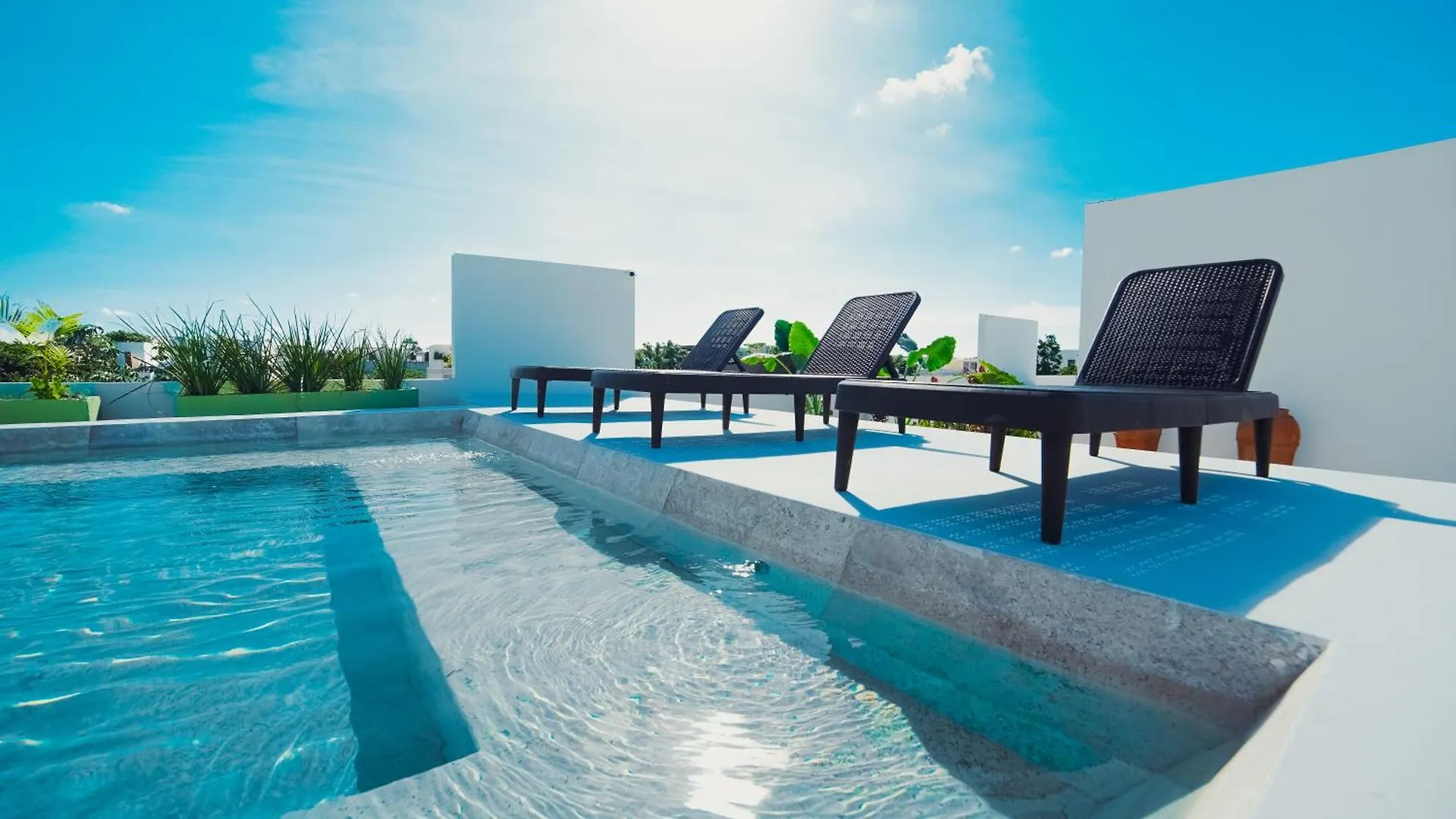툴룸 2 Story Penthouse La Veleta 4Br 아파트 멕시코